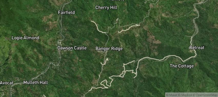Bangor Ridge, Portland, Jamaica | InJamaica