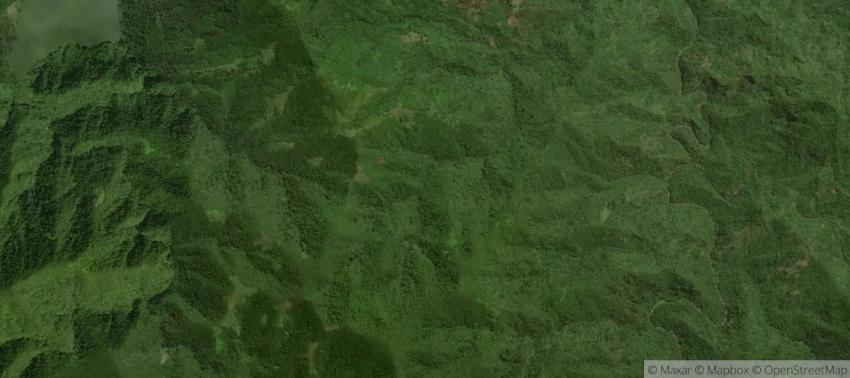 Ashcott, Portland, Jamaica | InJamaica