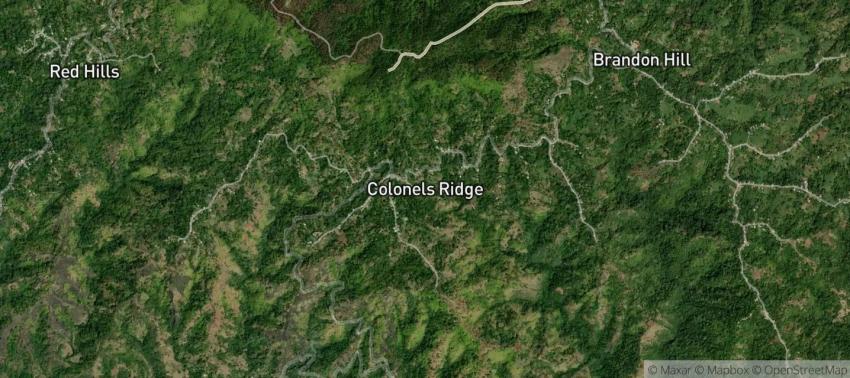 Colonels Ridge, Clarendon, Jamaica | InJamaica