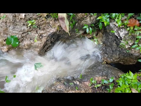 Dissolution Sinkhole Or Solution Sinkhole In Jamaica