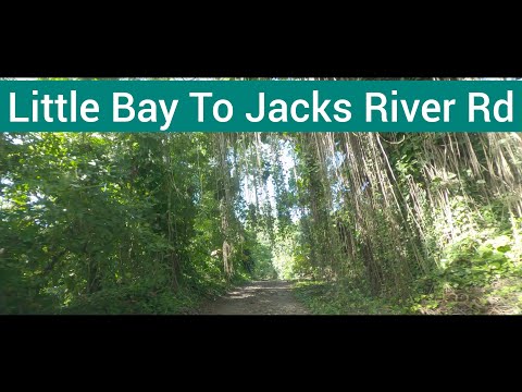 Little Bay To Jacks River Road, St Mary, Jamaica | In Jamaica